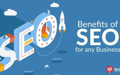 Why Should Your Business Invest in SEO?