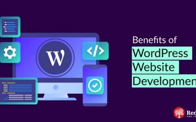 Benefits of WordPress Website Development